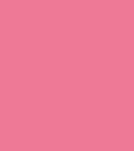 Dragones Hidra - Rosa
